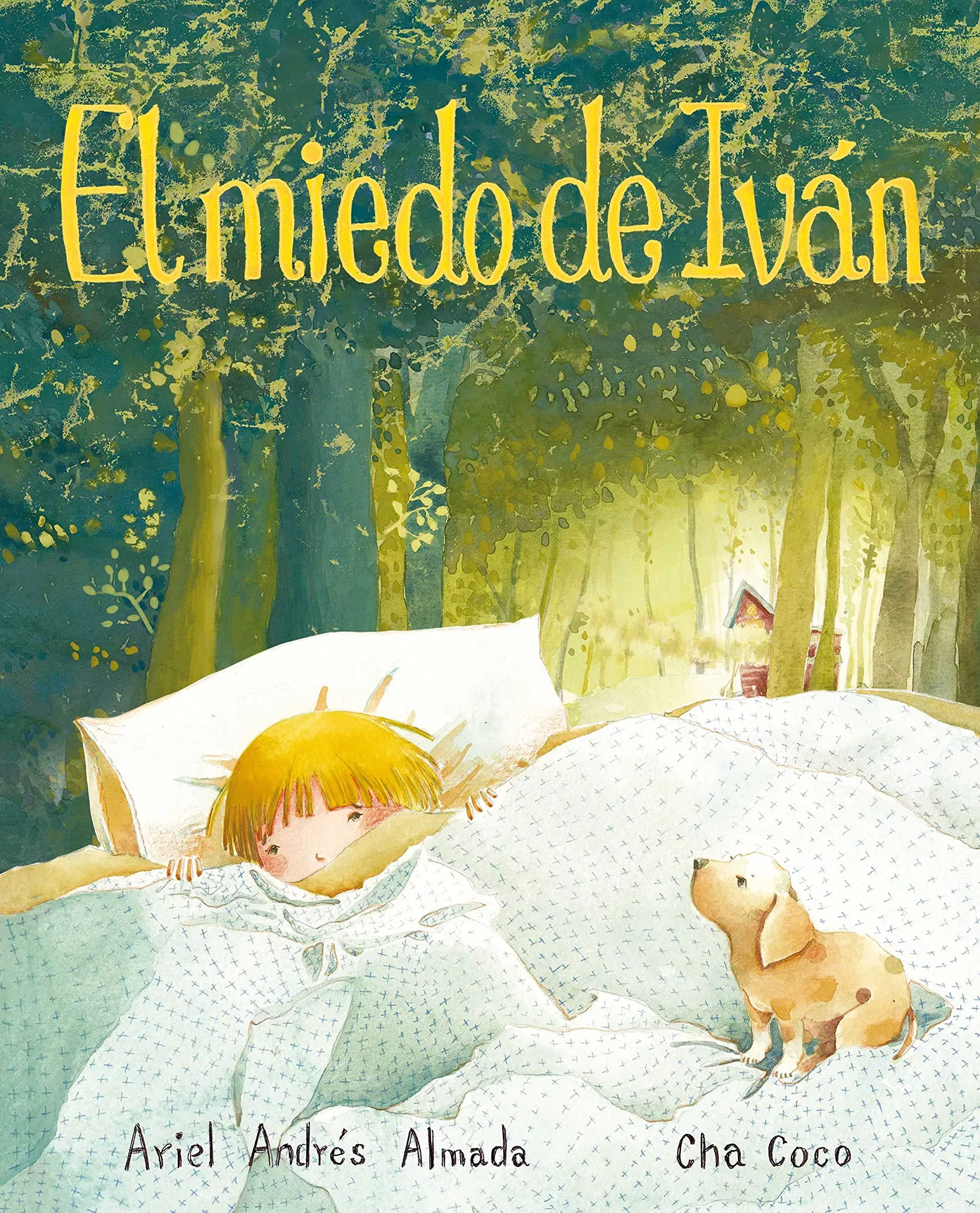 Cover of El miedo de Iván