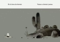 interior of Dos tortugas y un sombrero, Spanish edition of We Found a Hat
